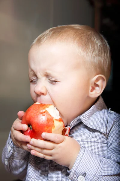 Malý chlapec jí jablka — Stock fotografie