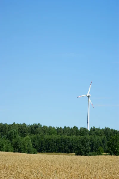 Wind power turbine blauwe hemel en velden van maïs — Stockfoto