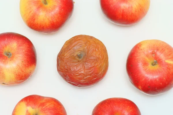 Mela rossa fresca e mela marcia — Foto Stock