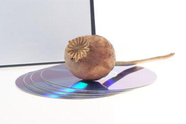 disc and poppy - addiction computers CD DVD clipart