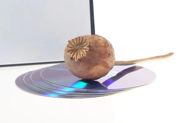 Disk a máku - závislost počítače cd dvd — Stock fotografie