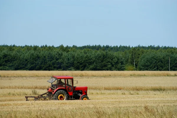Tractor work in field — Stock Photo, Image