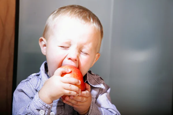 Liten pojke äter äpple — Stockfoto