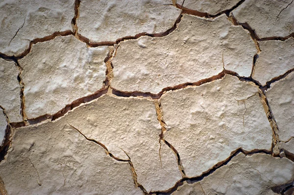 Desierto seco fondo agrietado — Foto de Stock