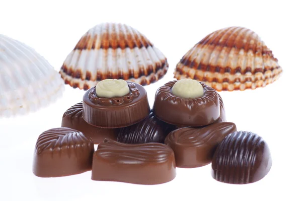 Chocolate pralines and shells — Stock Photo, Image