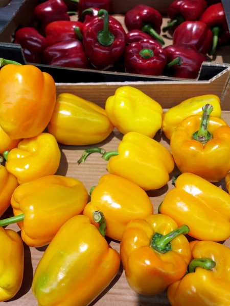 Yellow bell peppers, paprika in market — Stock Photo, Image