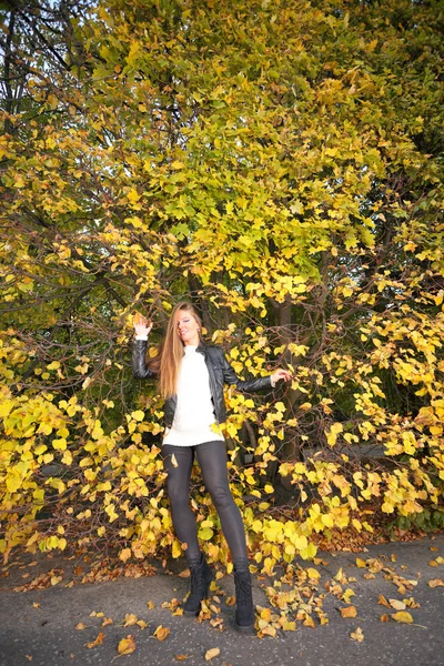 Vrouw meisje portret in herfst groen blad muur — Stockfoto