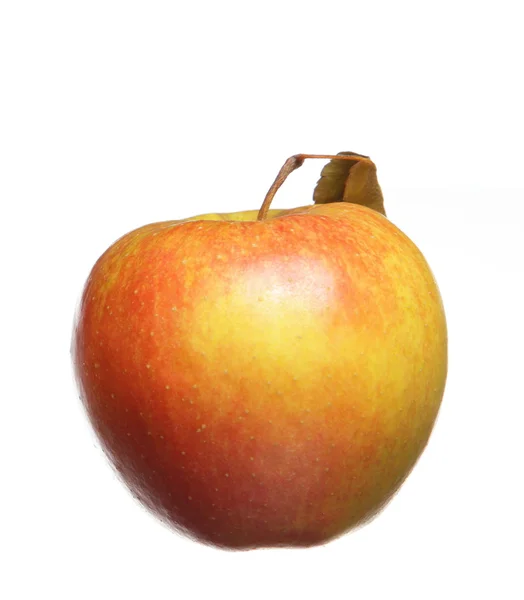 แอปเปิ้ลสีแดงสีเหลืองที่มีใบแห้งแยก — ภาพถ่ายสต็อก