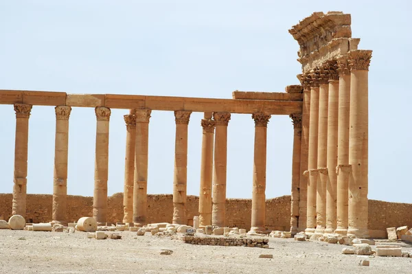 Ősi Palmüra, Szíria — Stock Fotó