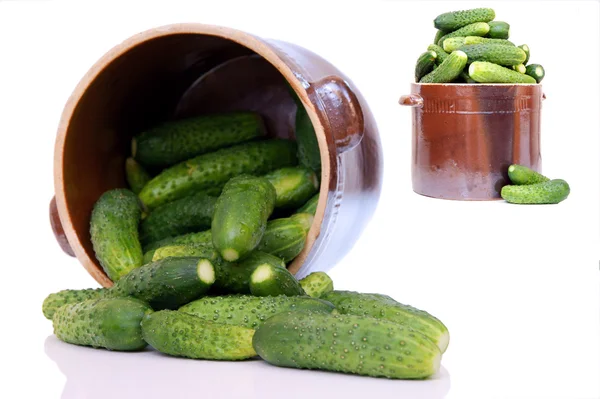 Pot of cucumbers — Stock Photo, Image