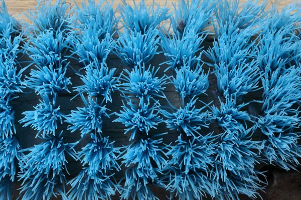 Närbild gamla blå scrub pensel — Stockfoto