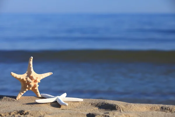 Starfish on beach at ocean background — Stock Photo, Image