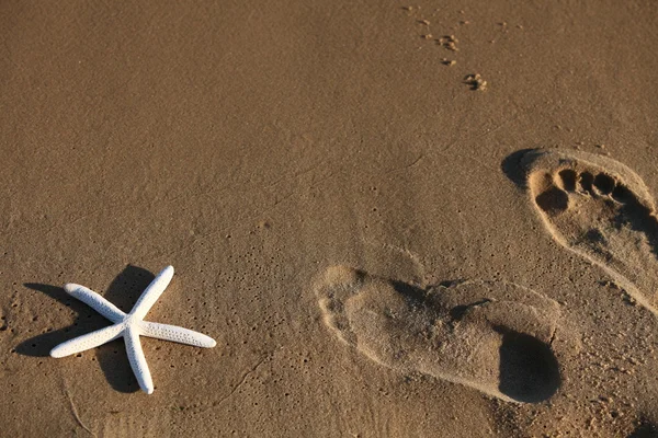 Foot and starfish prints on a sandy beach — 图库照片