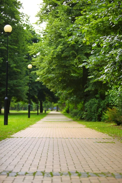 Het stenen pad in het park. — Stockfoto