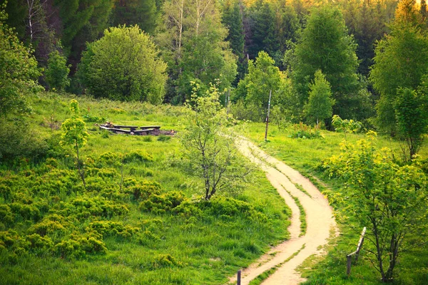 Väg i gröna skogen Polen bieszczady — Stockfoto