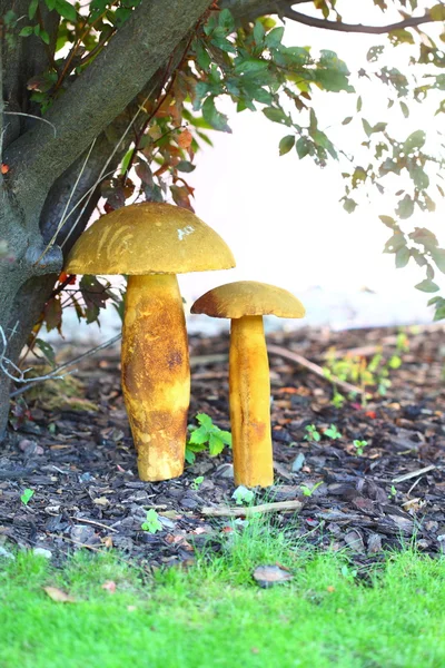 Mushroom on the grass. Decor. — Stock Photo, Image