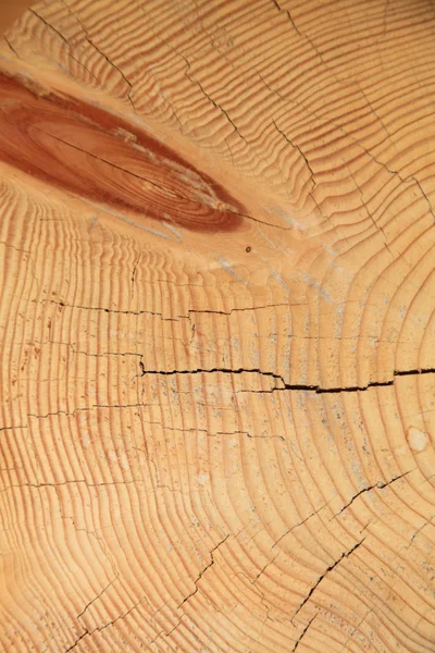 Textura de madera Fondo anudado —  Fotos de Stock
