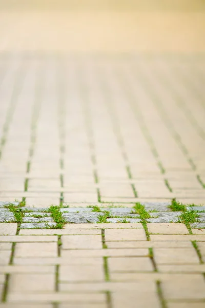 Stone road, path as background — Stock Photo, Image