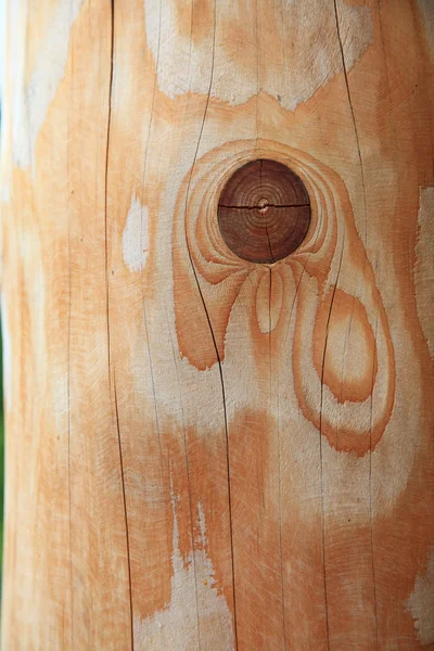 Texture en bois Fond noué — Photo
