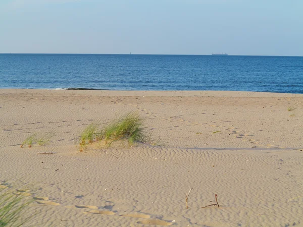 Baltic sea grassy sand dunes in the foreground — Stock Photo, Image