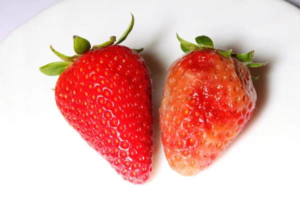 Healthy and rotten spoiled bad red strawberries — Stock Photo, Image