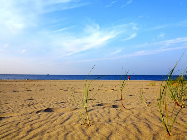 Dunas de areia gramíneas do mar Báltico em primeiro plano — Fotografia de Stock