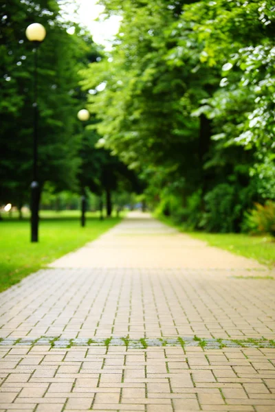 The stone path in the park. — Stock Photo, Image