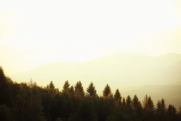 Dağ tepeleri manzarası Bieszczady Polonya — Stok fotoğraf