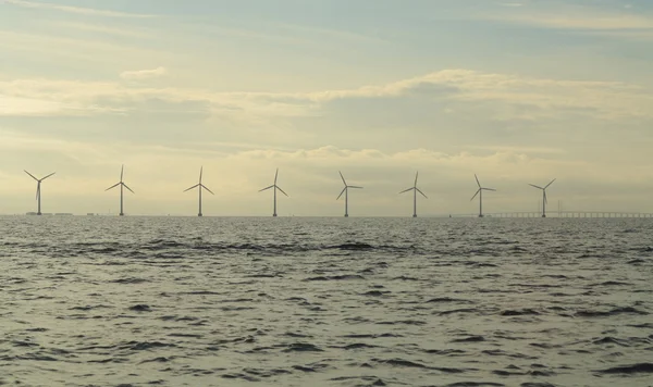 Parque gerador de energia de turbinas eólicas no mar — Fotografia de Stock