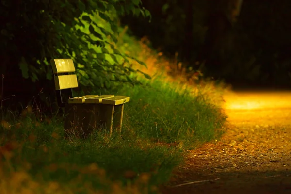 Drewniane ławki w parku wieczorem — Zdjęcie stockowe