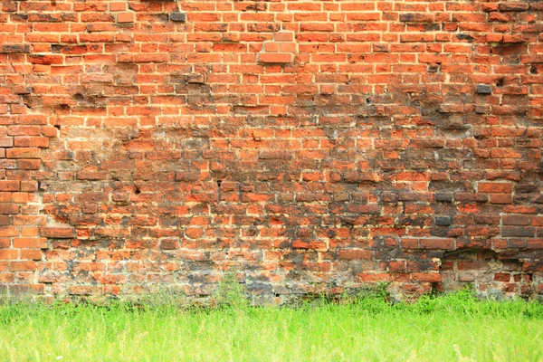 Grungy pozadí cihlové stěny textury — Stock fotografie