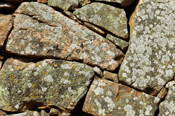Háttér kő fal textúra — Stock Fotó