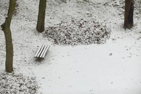 Parque de invierno cubierto de nieve blanca fresca —  Fotos de Stock