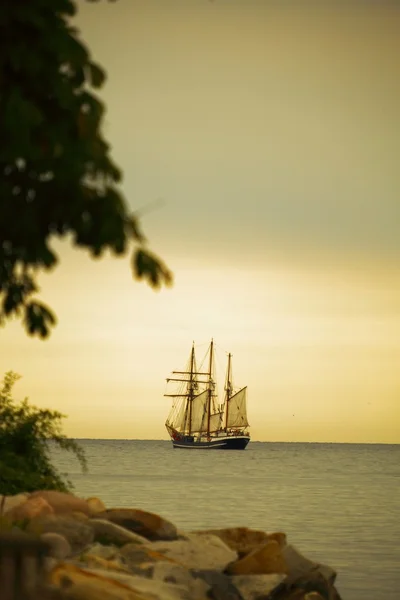 Beautiful sailing ship on sea at dusk — Stock Photo, Image
