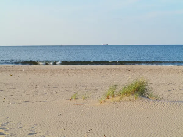 Dunes de sable herbeuses de la mer Baltique au premier plan — Photo