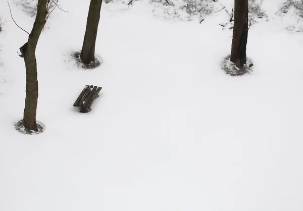 Зимний парк покрыт свежим белым снегом — стоковое фото