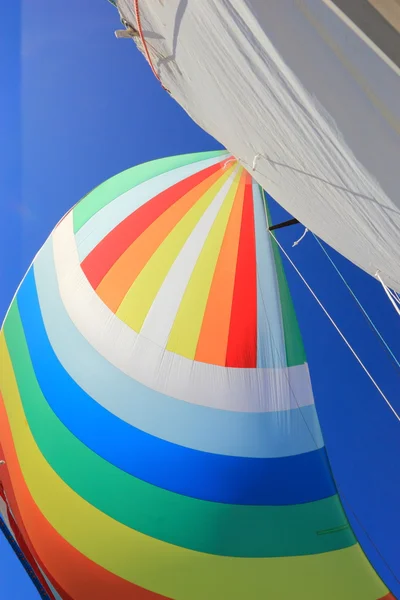 Der Wind hat bunte Spinnakersegel gefüllt — Stockfoto