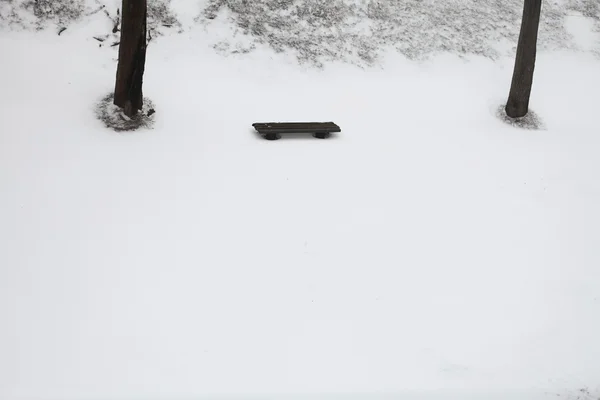 Winter park covered with fresh white snow — Stock Photo, Image