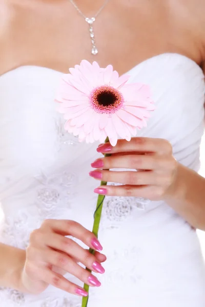 Dia do casamento. Flor rosa nas mãos da noiva — Fotografia de Stock