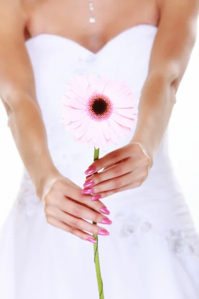 Dzień ślubu. różowy kwiat w rękach panny młodej — Zdjęcie stockowe