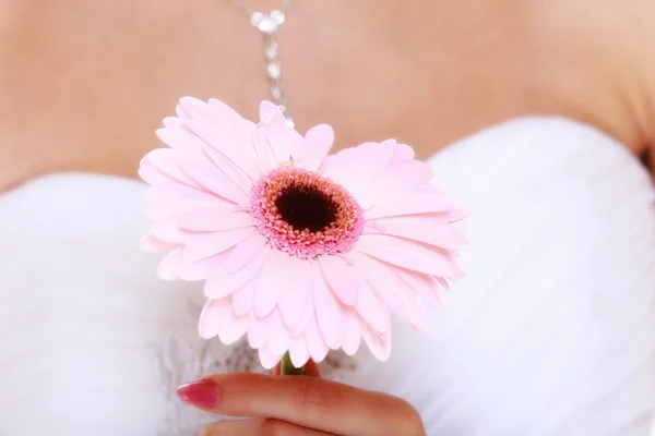 Bröllopsdag. rosa blomma i händerna på bruden — Stockfoto