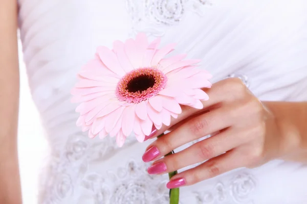 В день свадьбы. Розовый цветок в руках невесты — стоковое фото