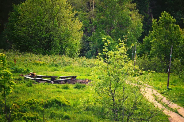 Caminho na floresta verde Polônia Bieszczady — Fotografia de Stock