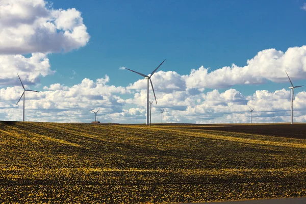 Производство возобновляемой энергии ветряными турбинами — стоковое фото