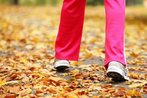 Runner legs running shoes. Woman jogging in autumn park Royalty Free Stock Photos