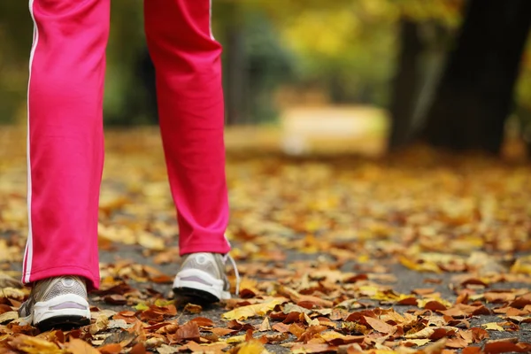 Pernas de corredor tênis de corrida. Mulher jogging no parque de outono — Fotografia de Stock