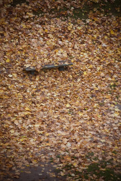 Banco y hojas de arce en el parque de la ciudad en el otoño —  Fotos de Stock