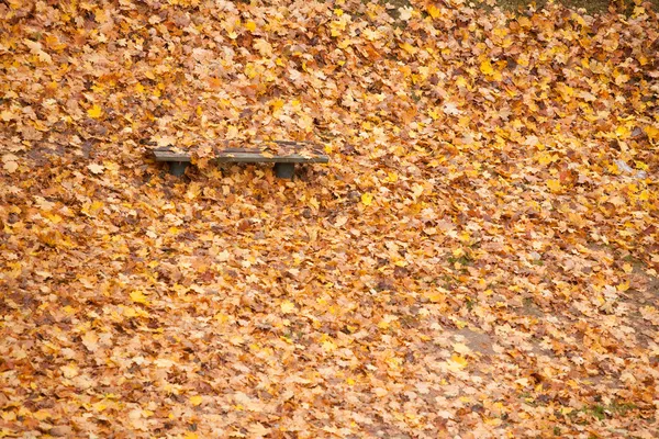 Panchina e acero foglie nel parco della città in autunno — Foto Stock