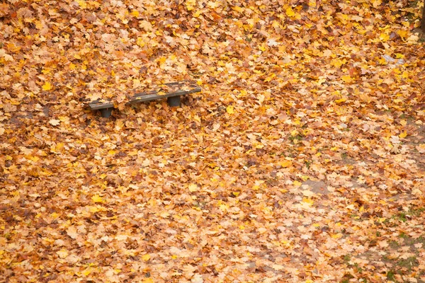 Banco y hojas de arce en el parque de la ciudad en el otoño — Foto de Stock