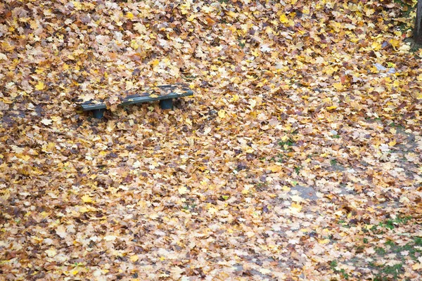 Banco y hojas de arce en el parque de la ciudad en el otoño — Foto de Stock